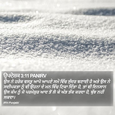 ਉਪਦੇਸ਼ਕ 3:11 PANIRV Bible Verse Image