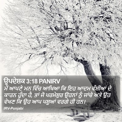 ਉਪਦੇਸ਼ਕ 3:18 PANIRV Bible Verse Image