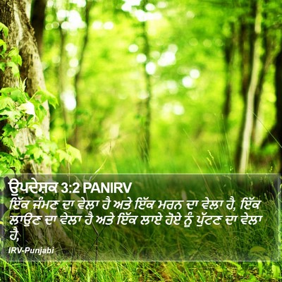 ਉਪਦੇਸ਼ਕ 3:2 PANIRV Bible Verse Image