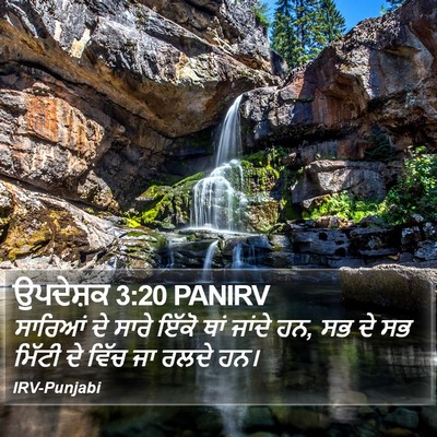 ਉਪਦੇਸ਼ਕ 3:20 PANIRV Bible Verse Image