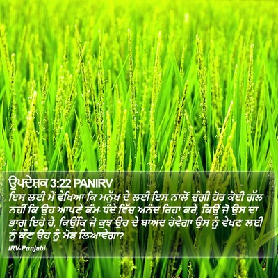 ਉਪਦੇਸ਼ਕ 3:22 PANIRV Bible Verse Image