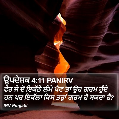 ਉਪਦੇਸ਼ਕ 4:11 PANIRV Bible Verse Image