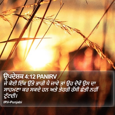 ਉਪਦੇਸ਼ਕ 4:12 PANIRV Bible Verse Image