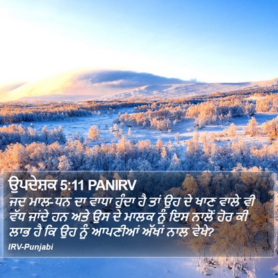 ਉਪਦੇਸ਼ਕ 5:11 PANIRV Bible Verse Image