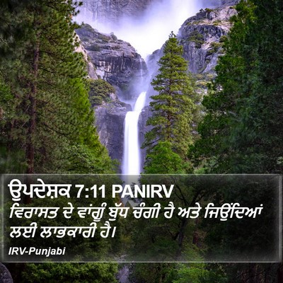 ਉਪਦੇਸ਼ਕ 7:11 PANIRV Bible Verse Image