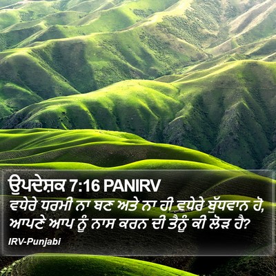 ਉਪਦੇਸ਼ਕ 7:16 PANIRV Bible Verse Image