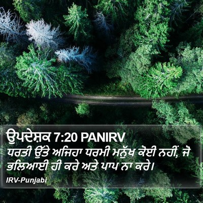 ਉਪਦੇਸ਼ਕ 7:20 PANIRV Bible Verse Image