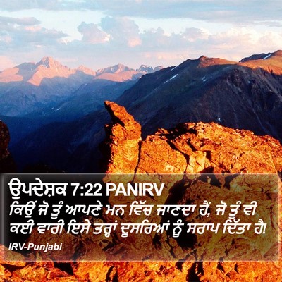 ਉਪਦੇਸ਼ਕ 7:22 PANIRV Bible Verse Image