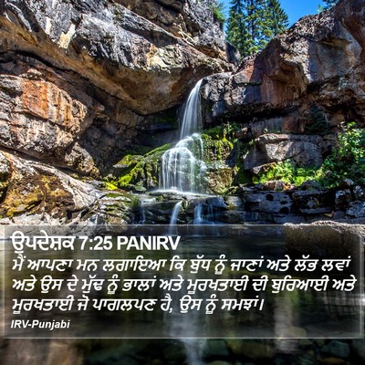 ਉਪਦੇਸ਼ਕ 7:25 PANIRV Bible Verse Image