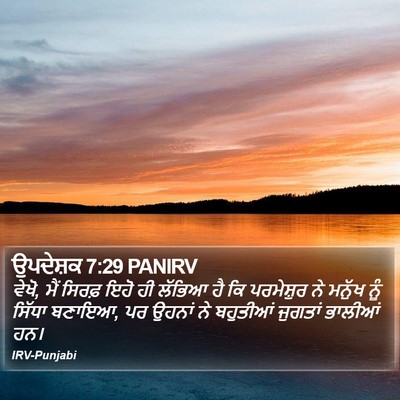 ਉਪਦੇਸ਼ਕ 7:29 PANIRV Bible Verse Image