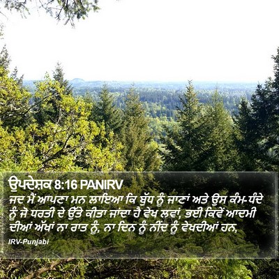 ਉਪਦੇਸ਼ਕ 8:16 PANIRV Bible Verse Image