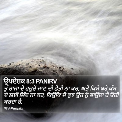 ਉਪਦੇਸ਼ਕ 8:3 PANIRV Bible Verse Image