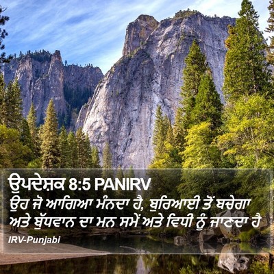 ਉਪਦੇਸ਼ਕ 8:5 PANIRV Bible Verse Image