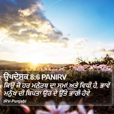 ਉਪਦੇਸ਼ਕ 8:6 PANIRV Bible Verse Image