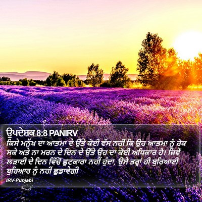 ਉਪਦੇਸ਼ਕ 8:8 PANIRV Bible Verse Image