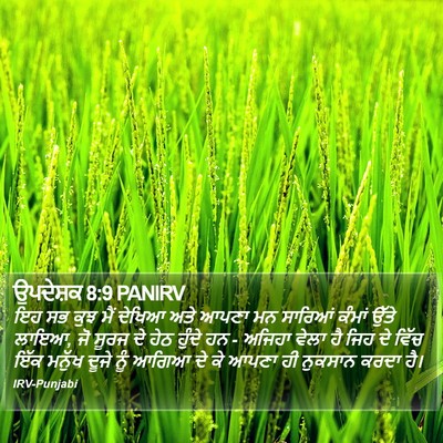 ਉਪਦੇਸ਼ਕ 8:9 PANIRV Bible Verse Image