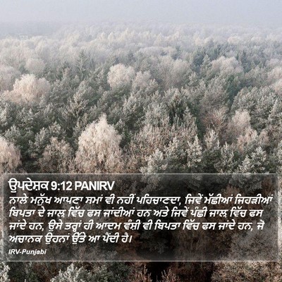 ਉਪਦੇਸ਼ਕ 9:12 PANIRV Bible Verse Image