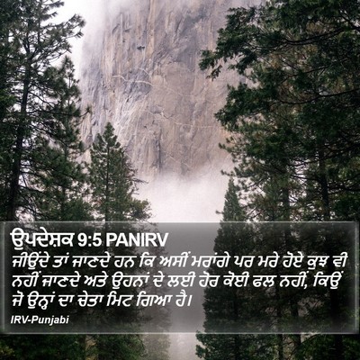 ਉਪਦੇਸ਼ਕ 9:5 PANIRV Bible Verse Image