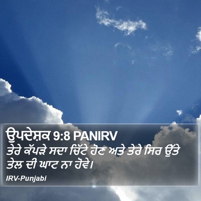 ਉਪਦੇਸ਼ਕ 9:8 PANIRV Bible Verse Image