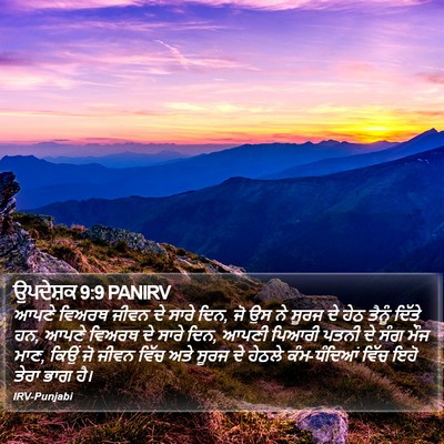 ਉਪਦੇਸ਼ਕ 9:9 PANIRV Bible Verse Image