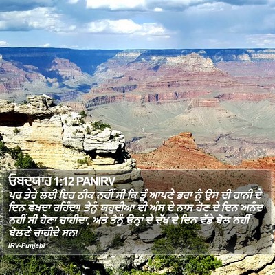 ਓਬਦਯਾਹ 1:12 PANIRV Bible Verse Image