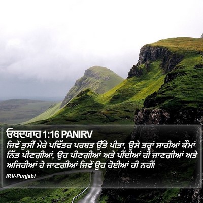ਓਬਦਯਾਹ 1:16 PANIRV Bible Verse Image
