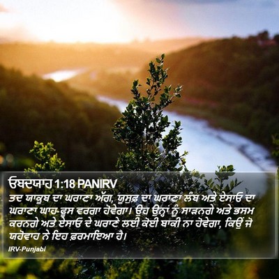 ਓਬਦਯਾਹ 1:18 PANIRV Bible Verse Image