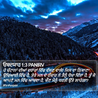 ਓਬਦਯਾਹ 1:3 PANIRV Bible Verse Image