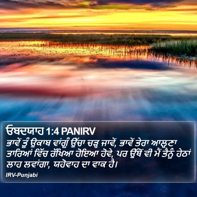 ਓਬਦਯਾਹ 1:4 PANIRV Bible Verse Image