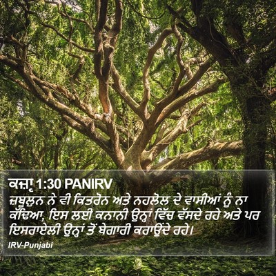 ਕਜ਼ਾૃ 1:30 PANIRV Bible Verse Image