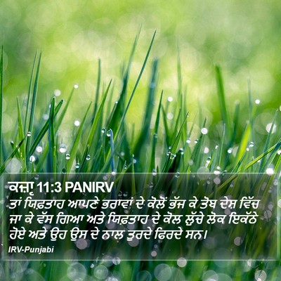 ਕਜ਼ਾૃ 11:3 PANIRV Bible Verse Image