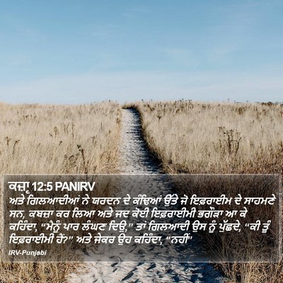 ਕਜ਼ਾૃ 12:5 PANIRV Bible Verse Image