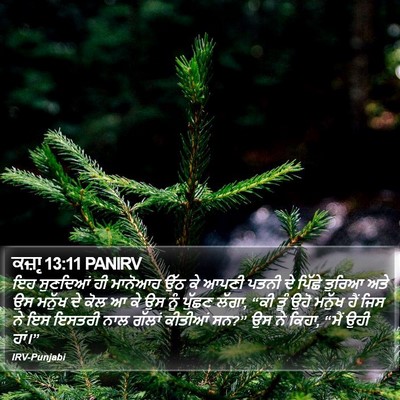 ਕਜ਼ਾૃ 13:11 PANIRV Bible Verse Image