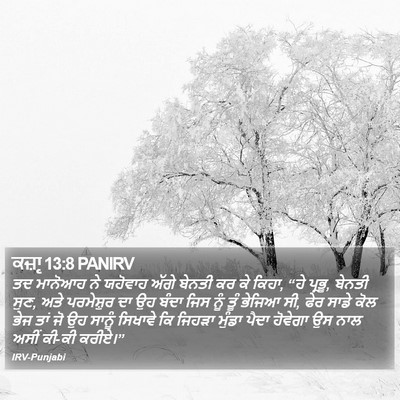 ਕਜ਼ਾૃ 13:8 PANIRV Bible Verse Image