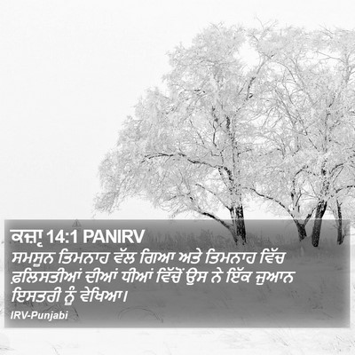 ਕਜ਼ਾૃ 14:1 PANIRV Bible Verse Image