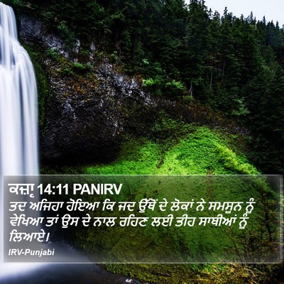 ਕਜ਼ਾૃ 14:11 PANIRV Bible Verse Image