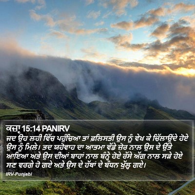 ਕਜ਼ਾૃ 15:14 PANIRV Bible Verse Image