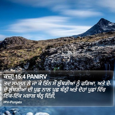 ਕਜ਼ਾૃ 15:4 PANIRV Bible Verse Image