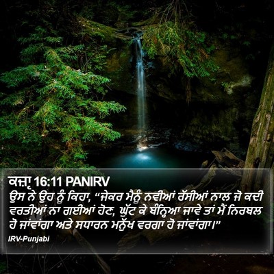 ਕਜ਼ਾૃ 16:11 PANIRV Bible Verse Image