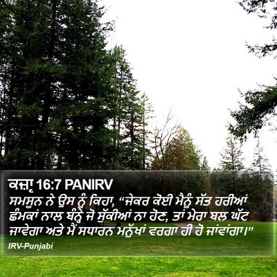 ਕਜ਼ਾૃ 16:7 PANIRV Bible Verse Image