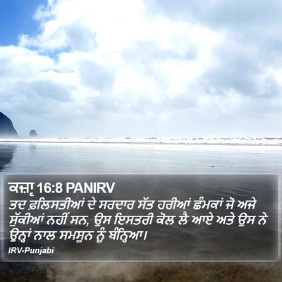 ਕਜ਼ਾૃ 16:8 PANIRV Bible Verse Image