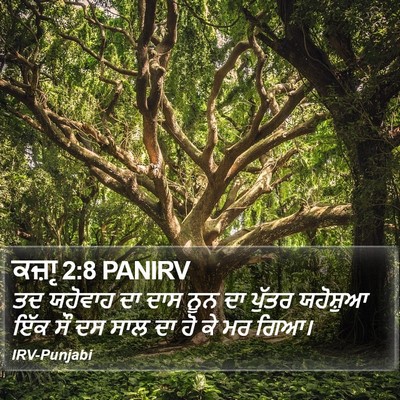 ਕਜ਼ਾૃ 2:8 PANIRV Bible Verse Image