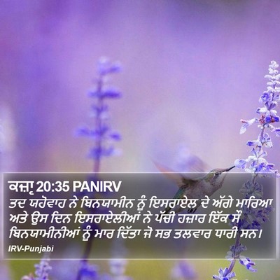 ਕਜ਼ਾૃ 20:35 PANIRV Bible Verse Image