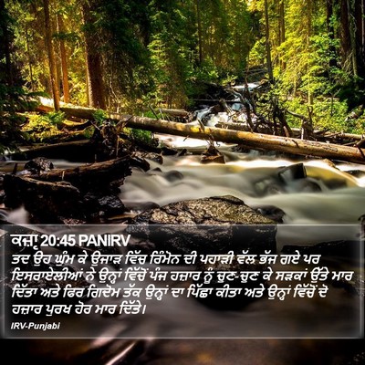 ਕਜ਼ਾૃ 20:45 PANIRV Bible Verse Image