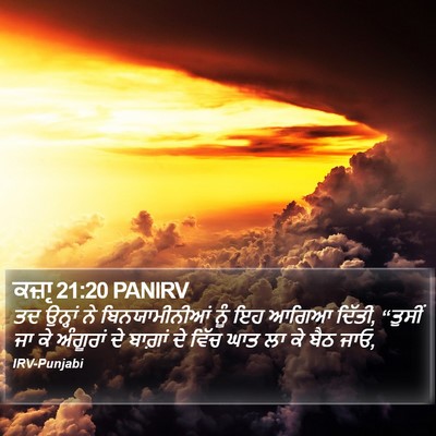 ਕਜ਼ਾૃ 21:20 PANIRV Bible Verse Image
