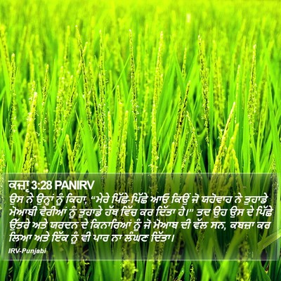 ਕਜ਼ਾૃ 3:28 PANIRV Bible Verse Image