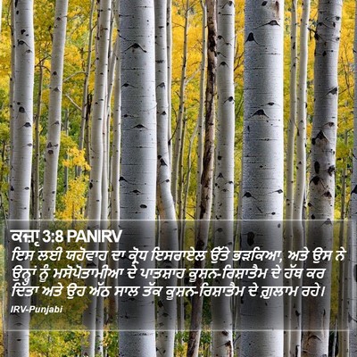 ਕਜ਼ਾૃ 3:8 PANIRV Bible Verse Image