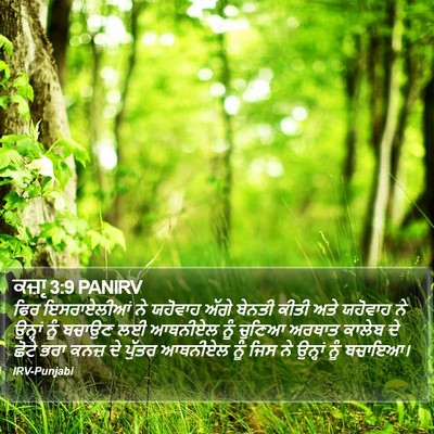 ਕਜ਼ਾૃ 3:9 PANIRV Bible Verse Image