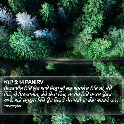 ਕਜ਼ਾૃ 5:14 PANIRV Bible Verse Image