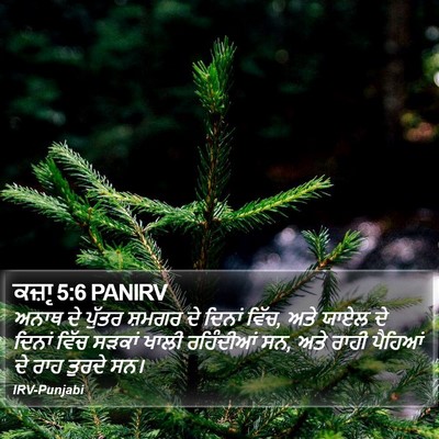 ਕਜ਼ਾૃ 5:6 PANIRV Bible Verse Image